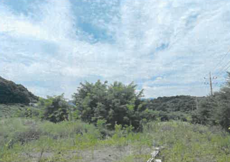 2025타경8551 현황