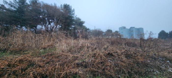 2025타경73783 현황