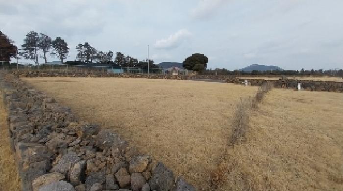 2025타경6556-4 현황