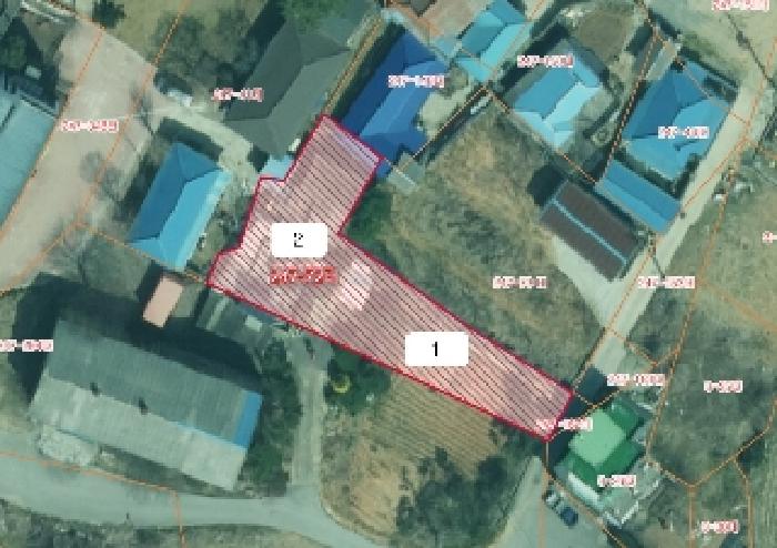 2025타경51529-1 현황